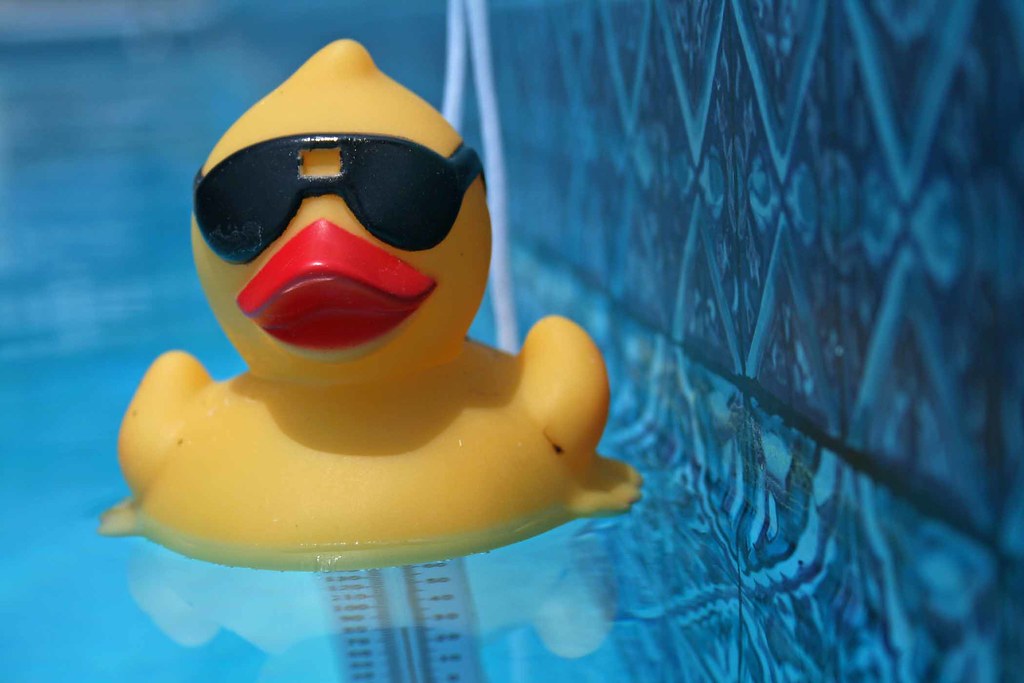 Image of a rubber duck